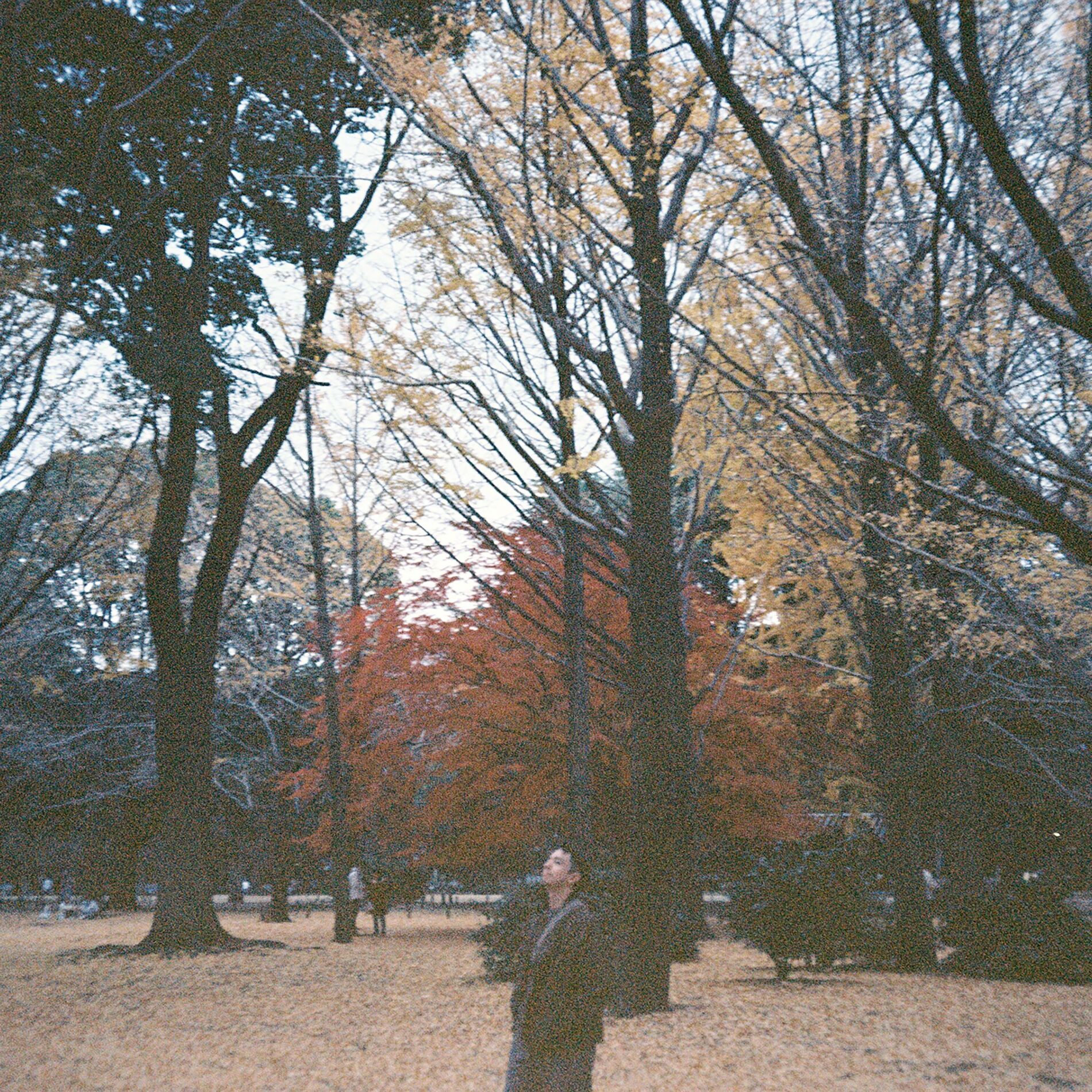 Album cover of Inner Peace
