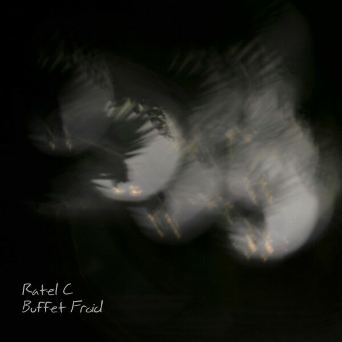 Album cover of Buffet Froid