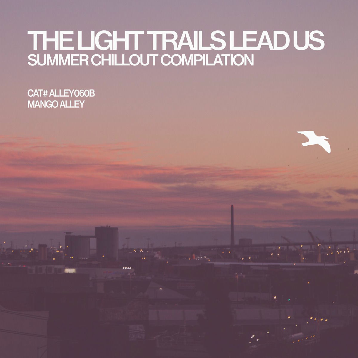 Album cover of The Light Trails Lead Us