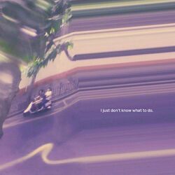 Cover of I Just Don't Know What to Do