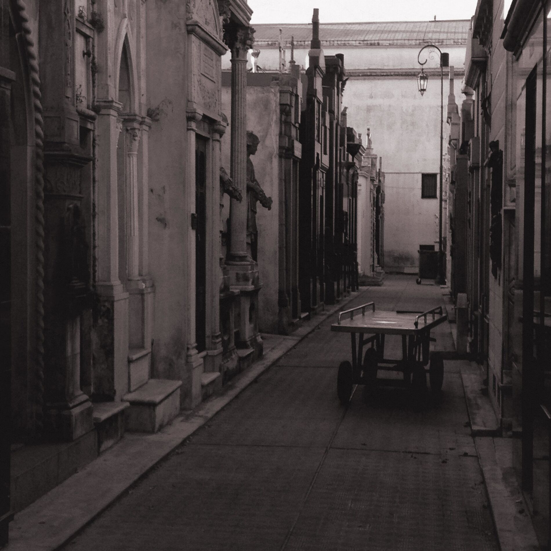 Album cover of Old Maverick Road