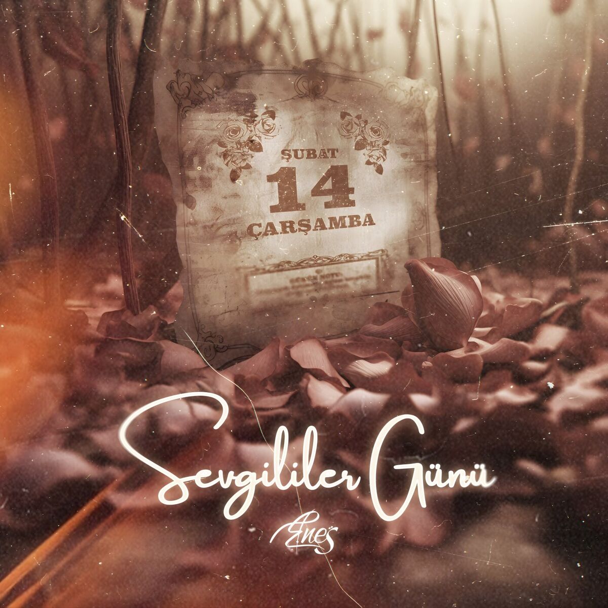 Album cover of Sevgililer Günü (EP)