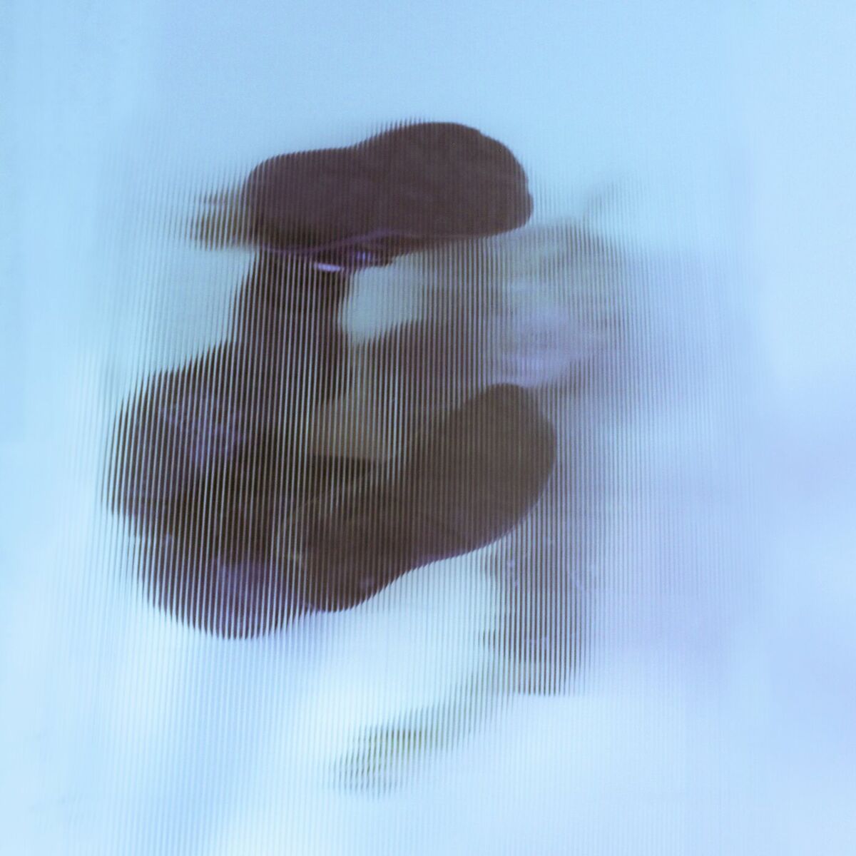 Album cover of No Body