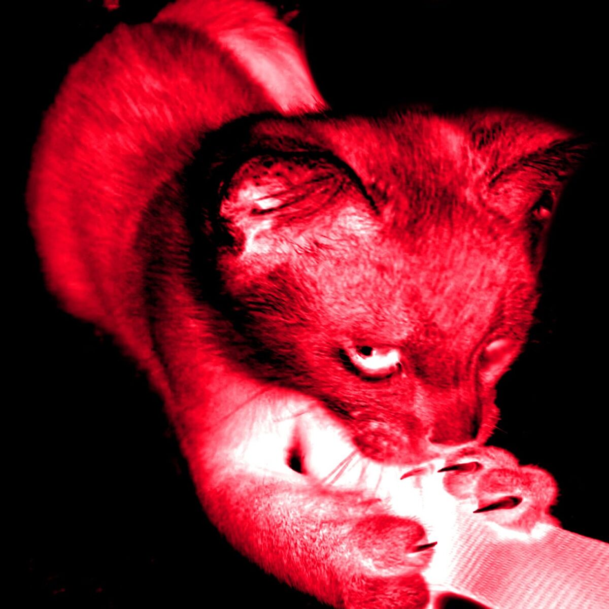 Album cover of rouge