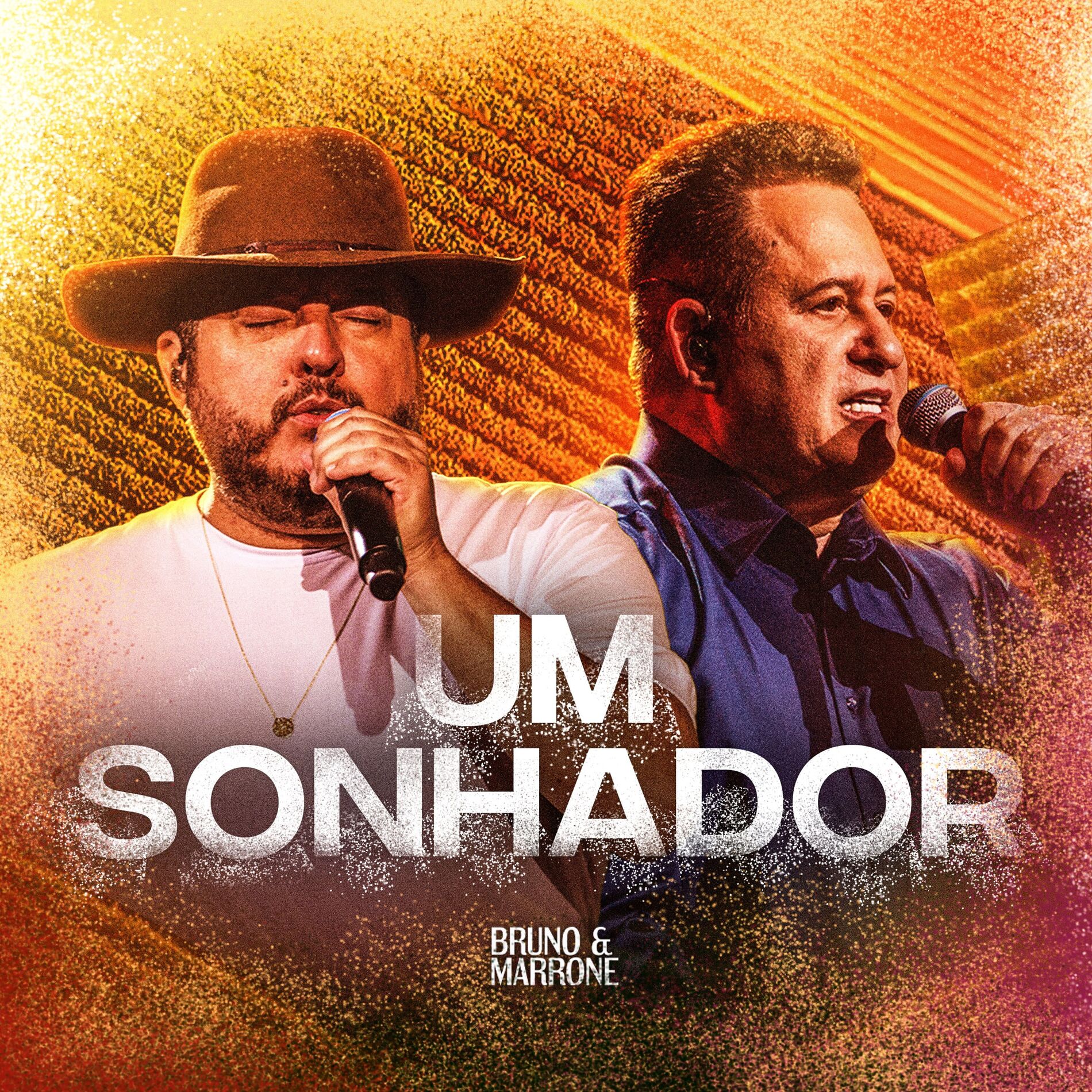Album cover of Um Sonhador