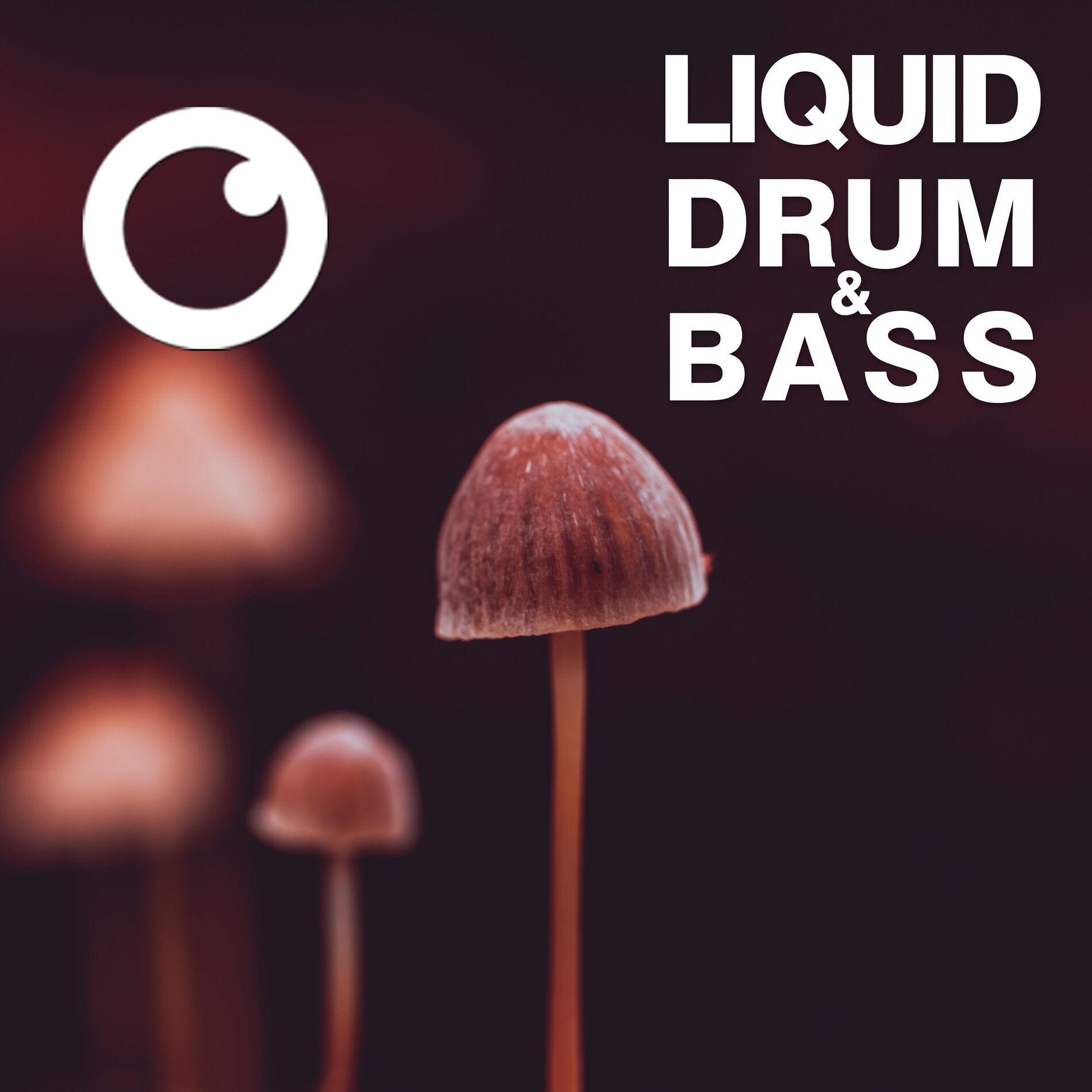 Album cover of Liquid Drum & Bass Sessions 2020 Vol 34 : The Mix
