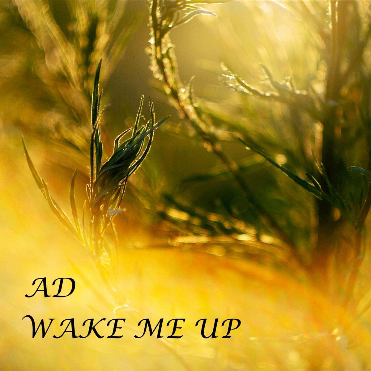 Album cover of Wake Me Up