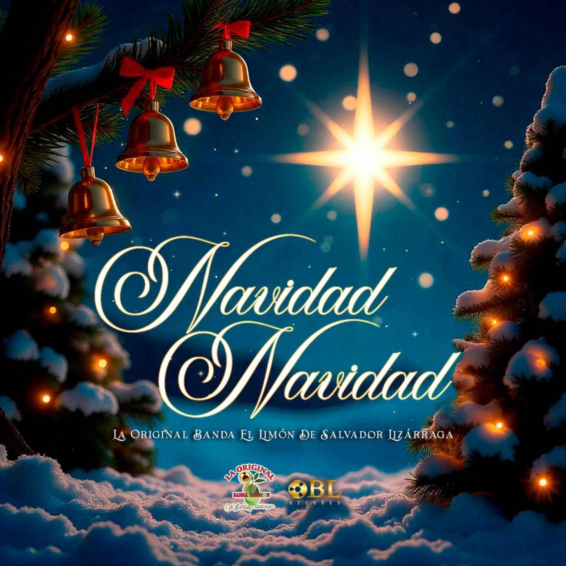 Album cover of Navidad, Navidad