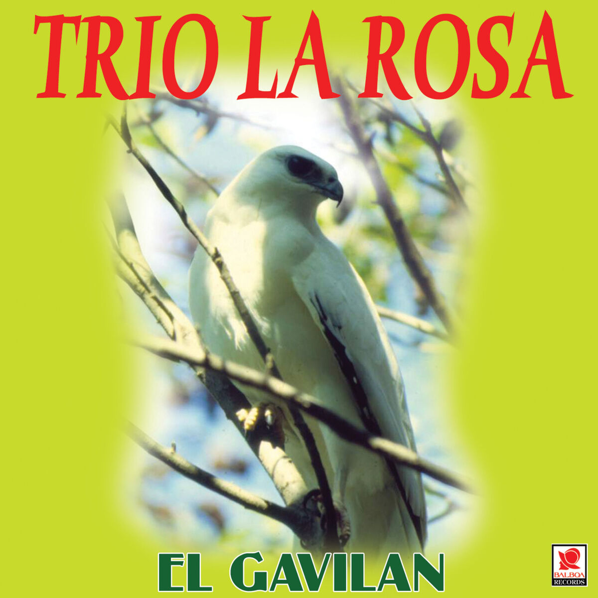 Album cover of El Gavilán