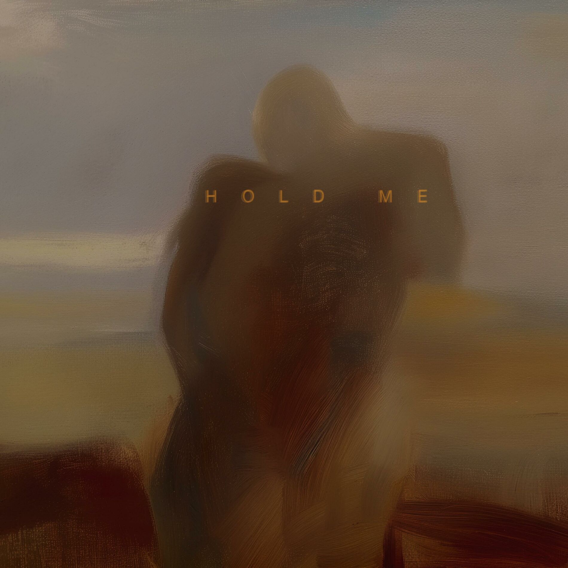 Album cover of Hold Me