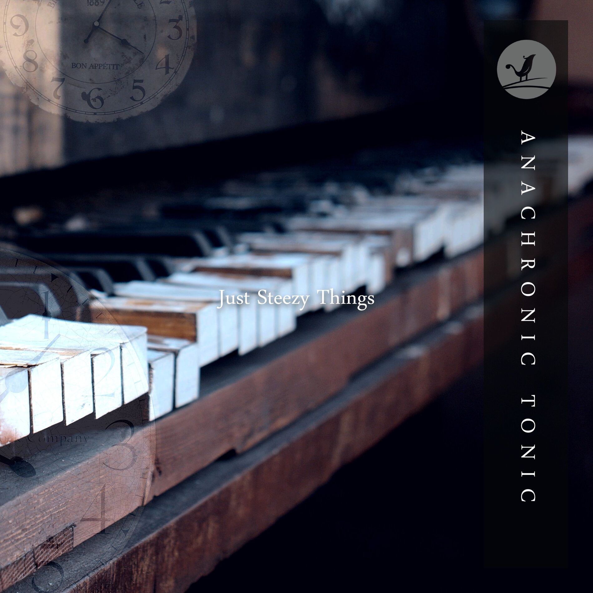 Album cover of Anachronic Tonic