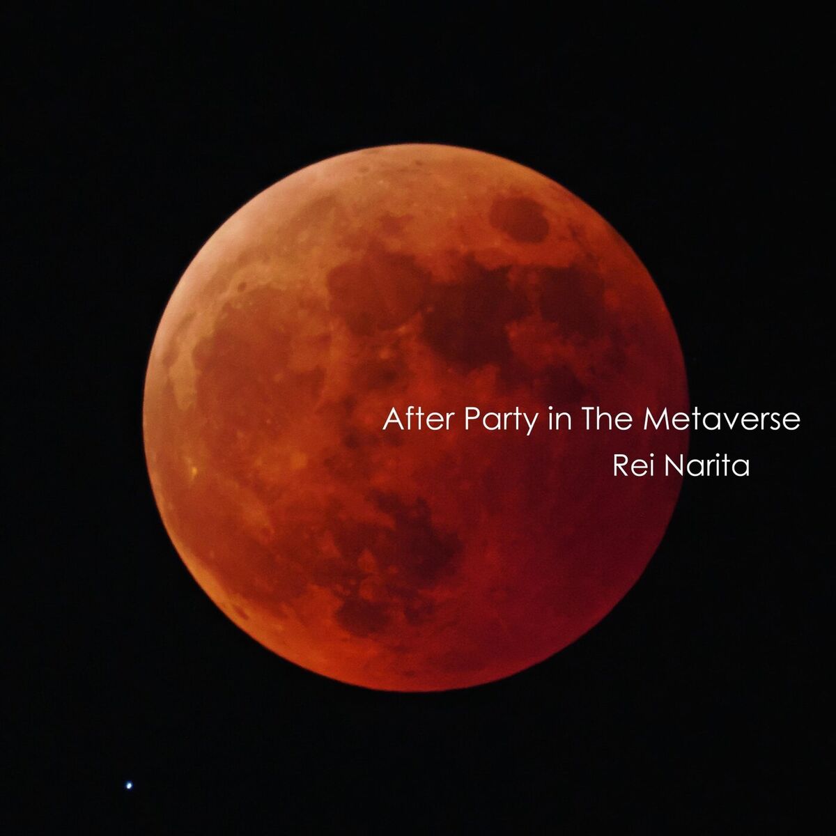 Album cover of After Party in The Metaverse