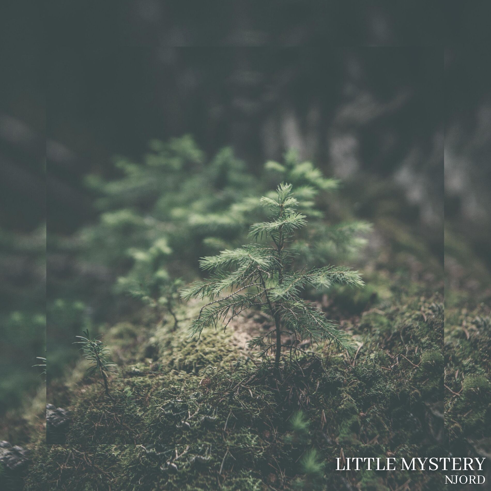 Album cover of Little Mystery