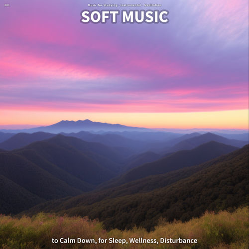#01 Soft Music to Calm Down, for Sleep, Wellness, Disturbance