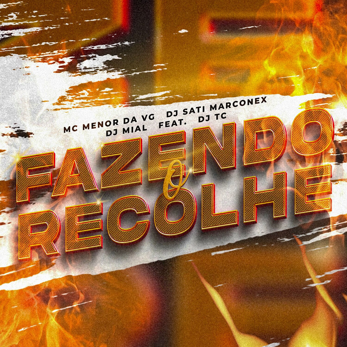Album cover of Fazendo o Recolhe (feat. Dj TC)