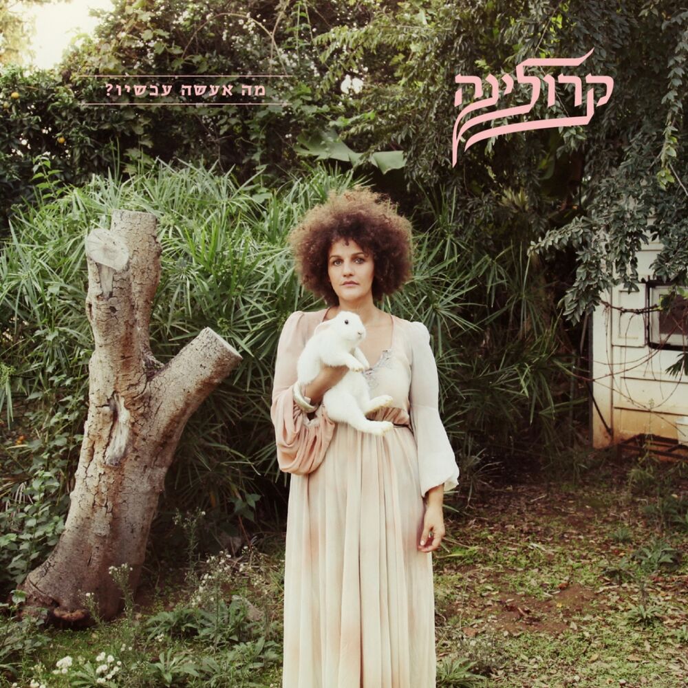 Picture of ? מה אעשה עכשיו