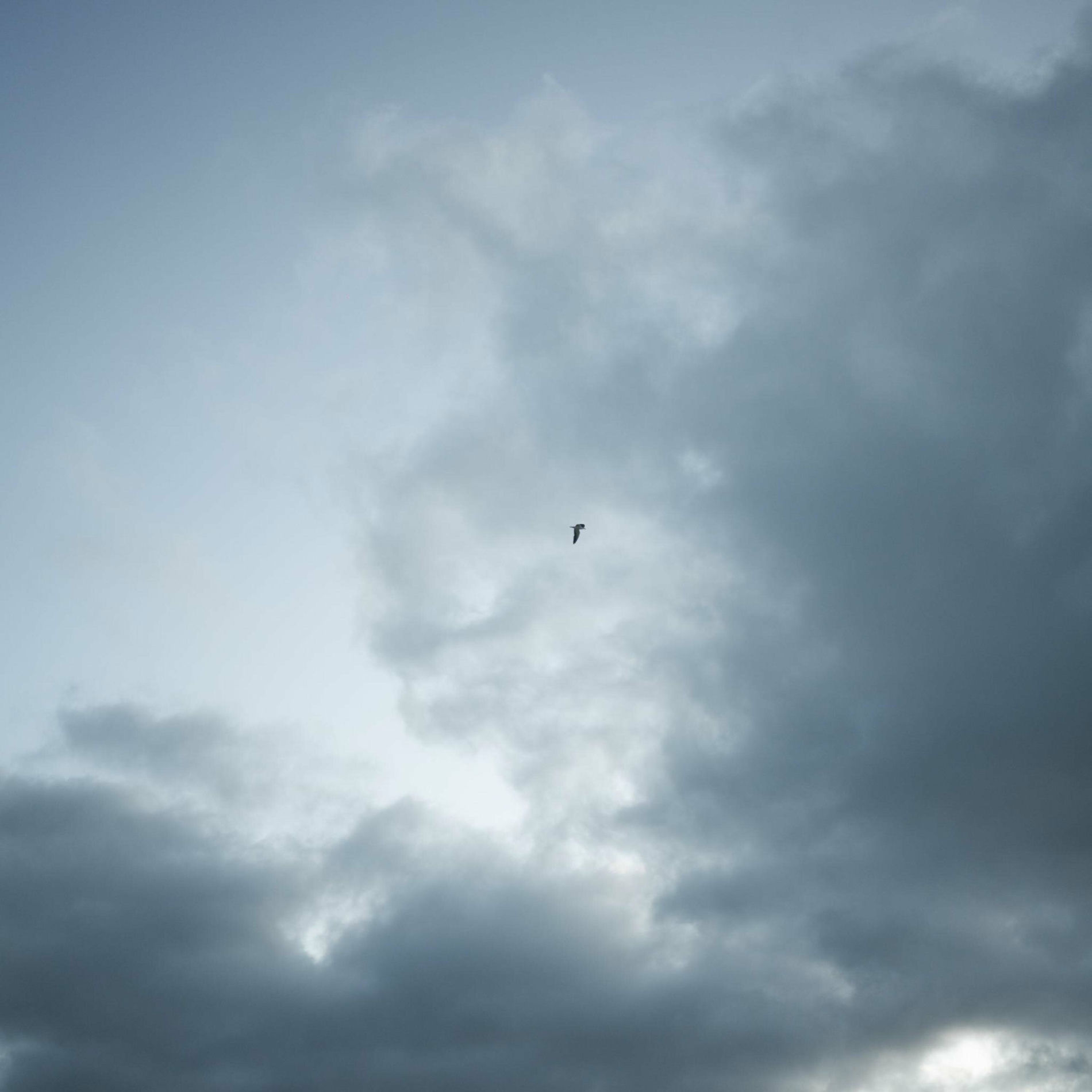 Album cover of J'ai le temps