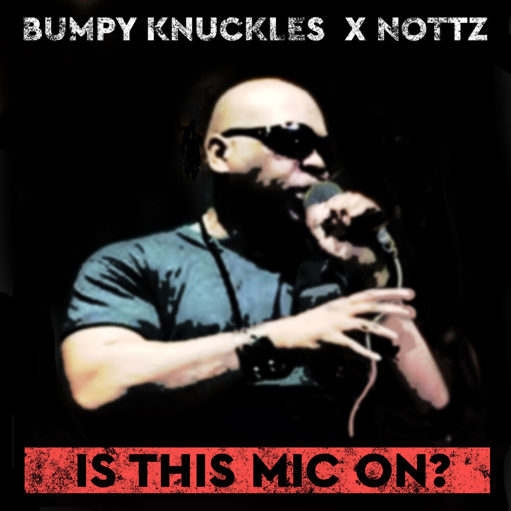 Picture of Is This Mic on?
