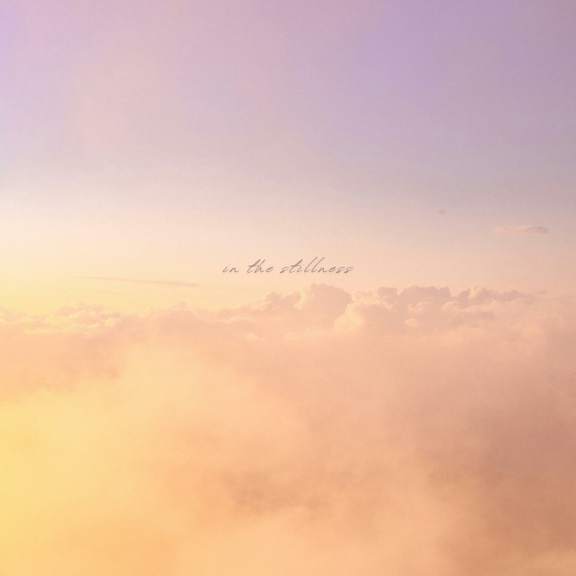 Album cover of in the stillness