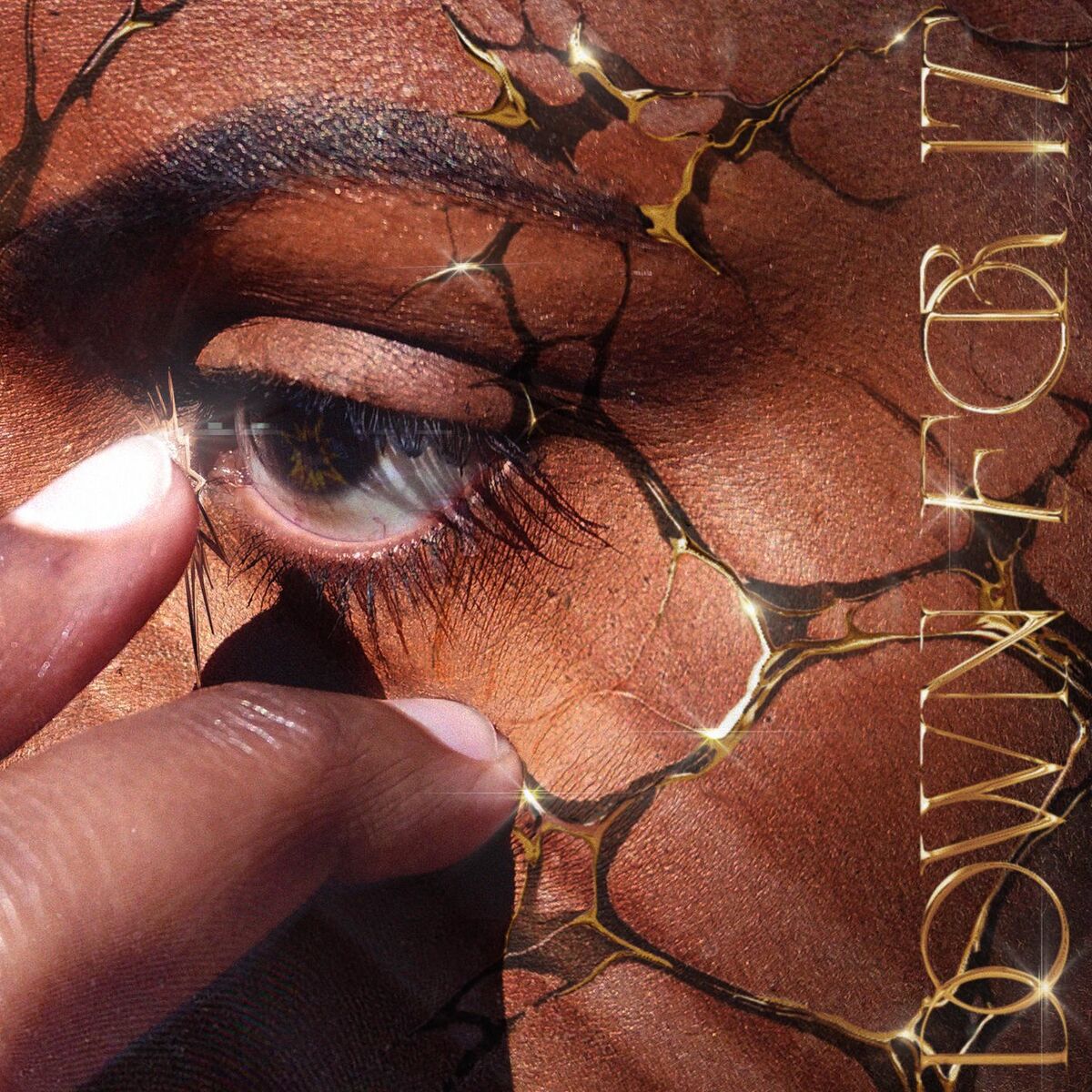 Album cover of Down For It