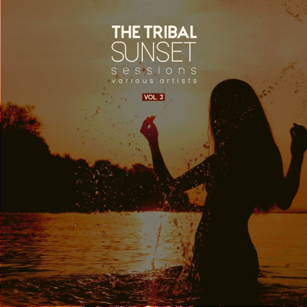 Album cover of The Tribal Sunset Sessions, Vol. 3