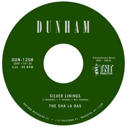 Cover of Silver Linings