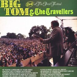 Cover of Live at the Irish Festival