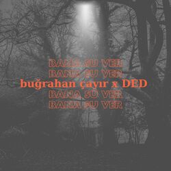 Cover of Bana Su Ver