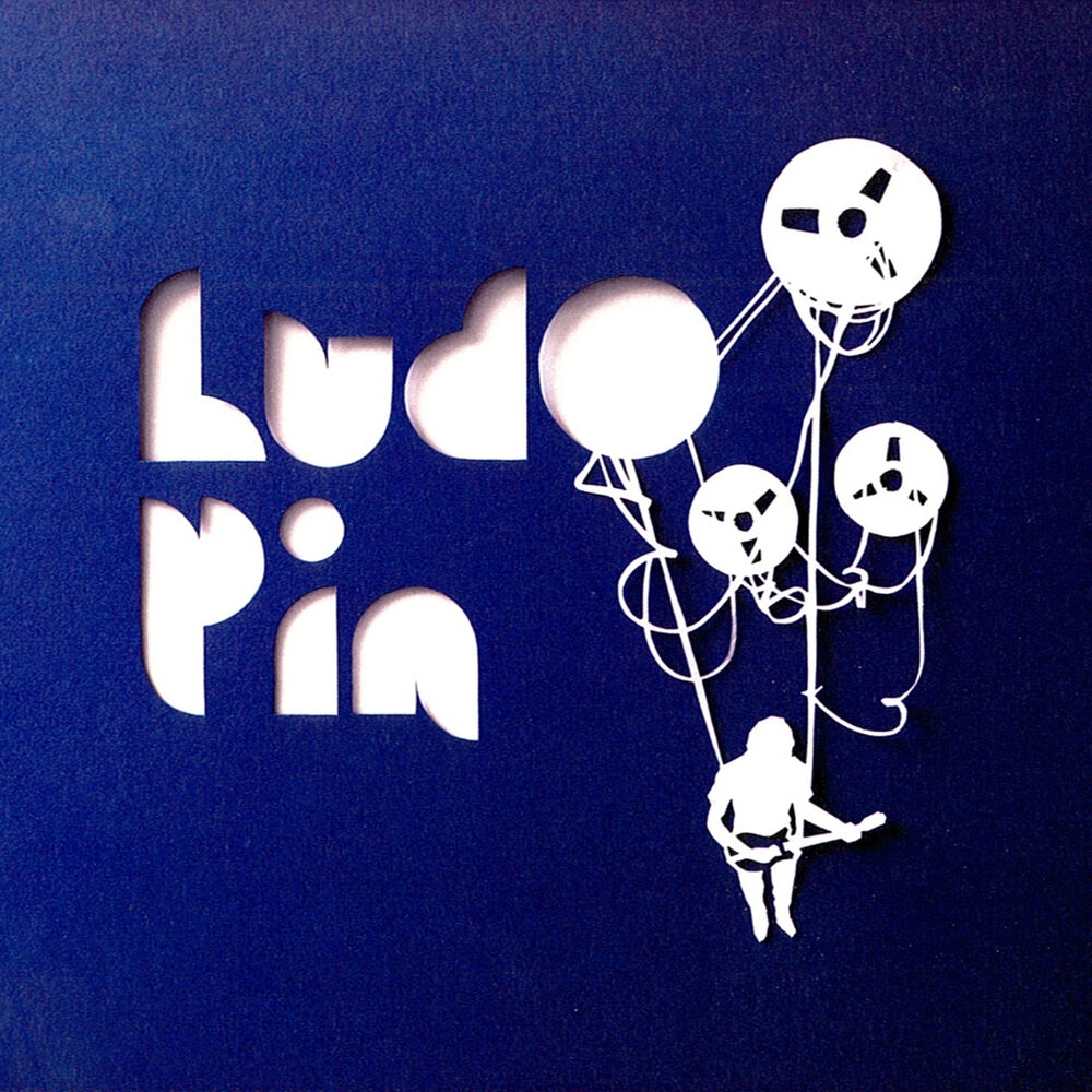 Picture of Ludo Pin