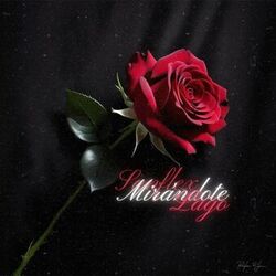 Cover of Mirándote