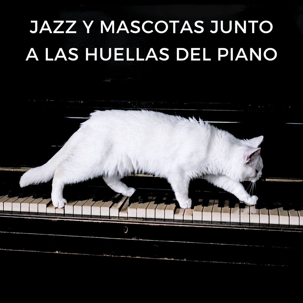 Picture of Jazz Y Mascotas Junto A Las Huellas Del Piano