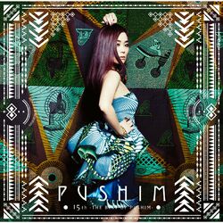 Cover of 15th - THE BEST OF PUSHIM