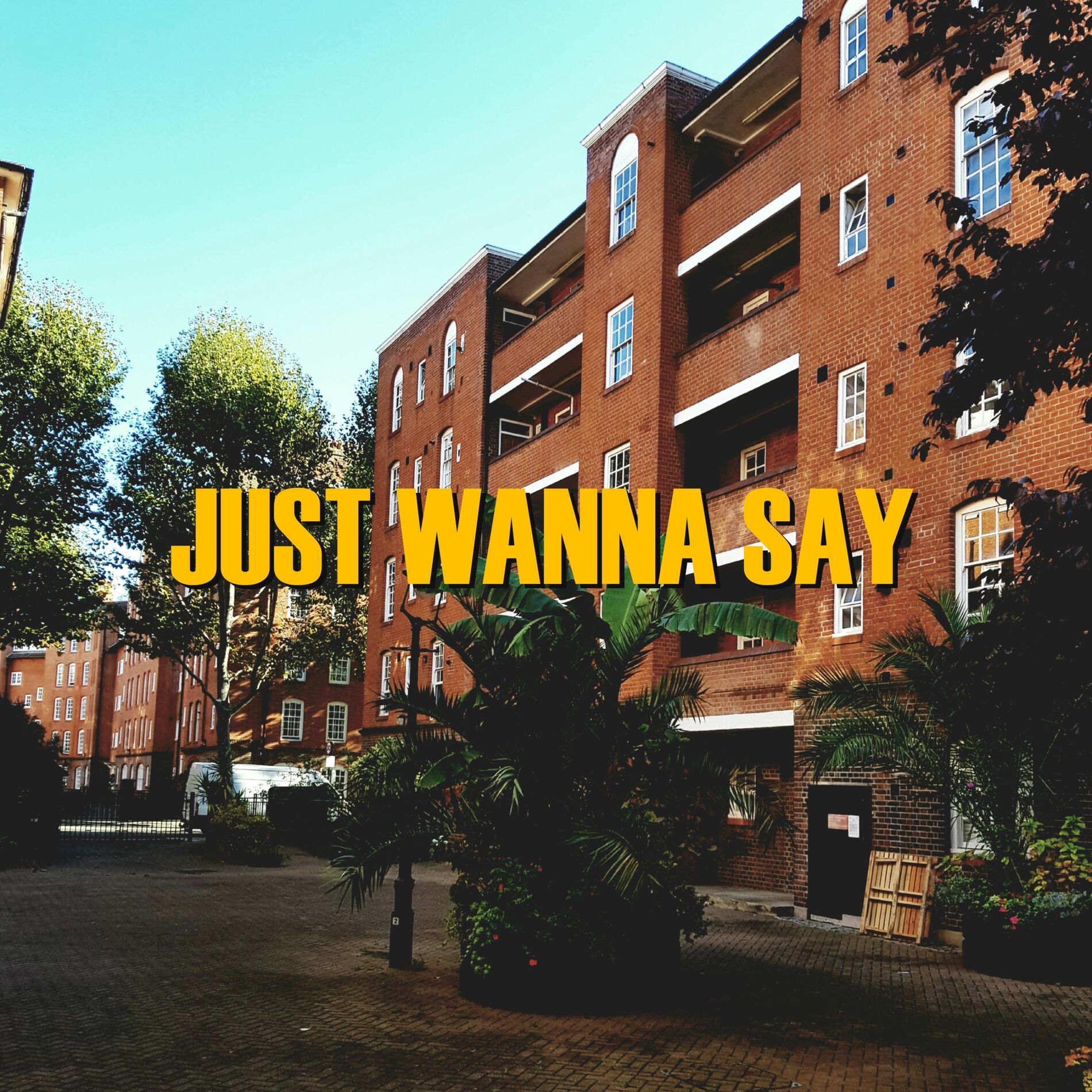 Album cover of Just Wanna Say