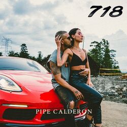Cover of 718