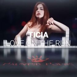 Cover of Love on the Run