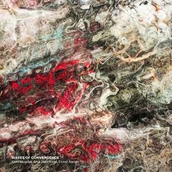 Cover of Waves of Convergence