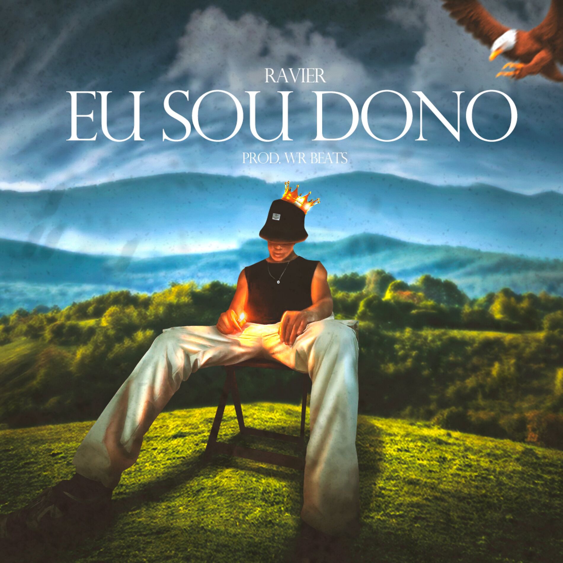 Album cover of Eu Sou Dono