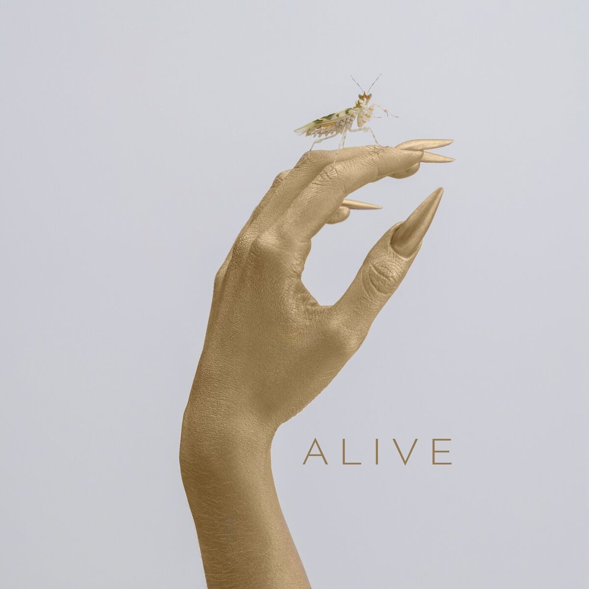 Album cover of Alive
