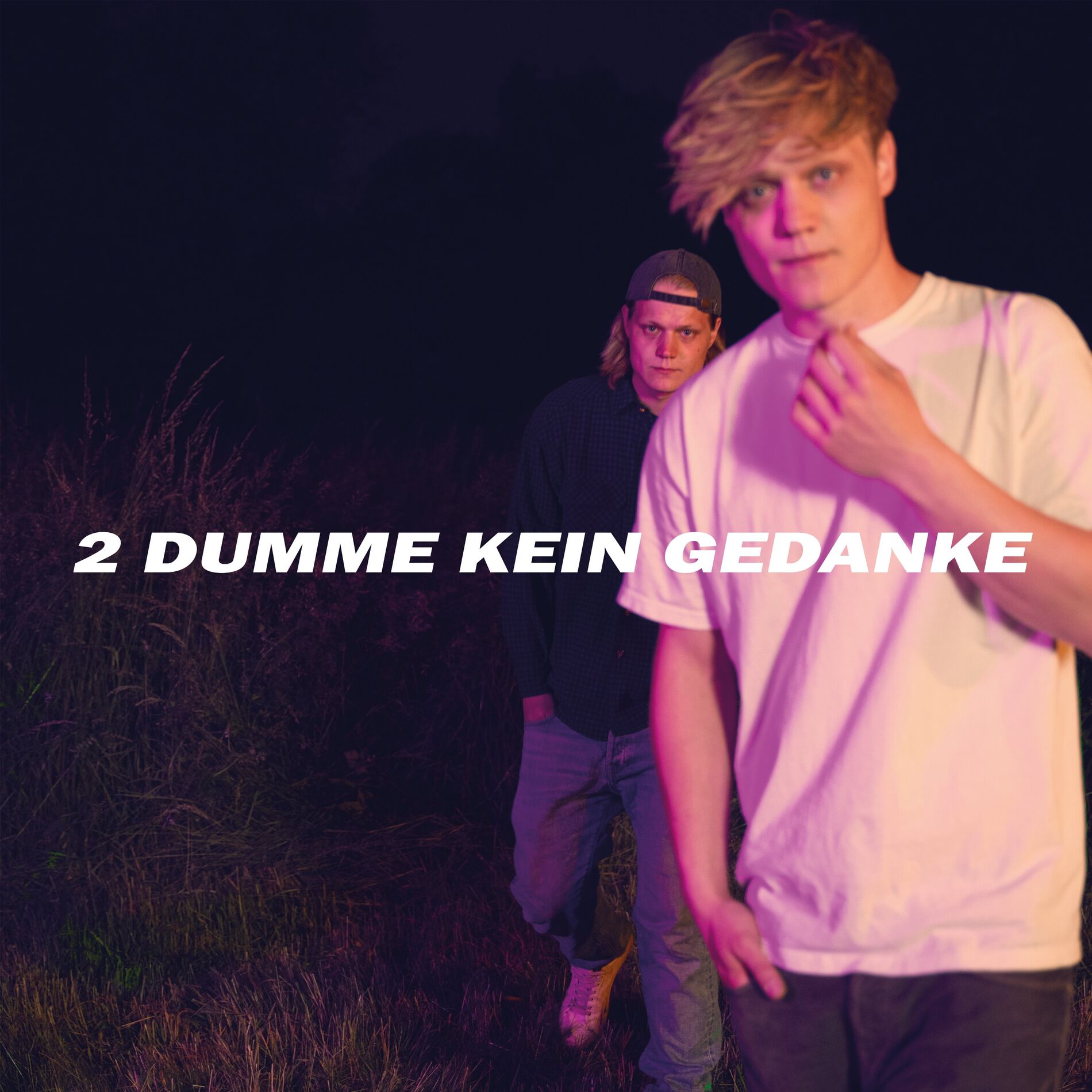 Album cover of 2 Dumme Kein Gedanke