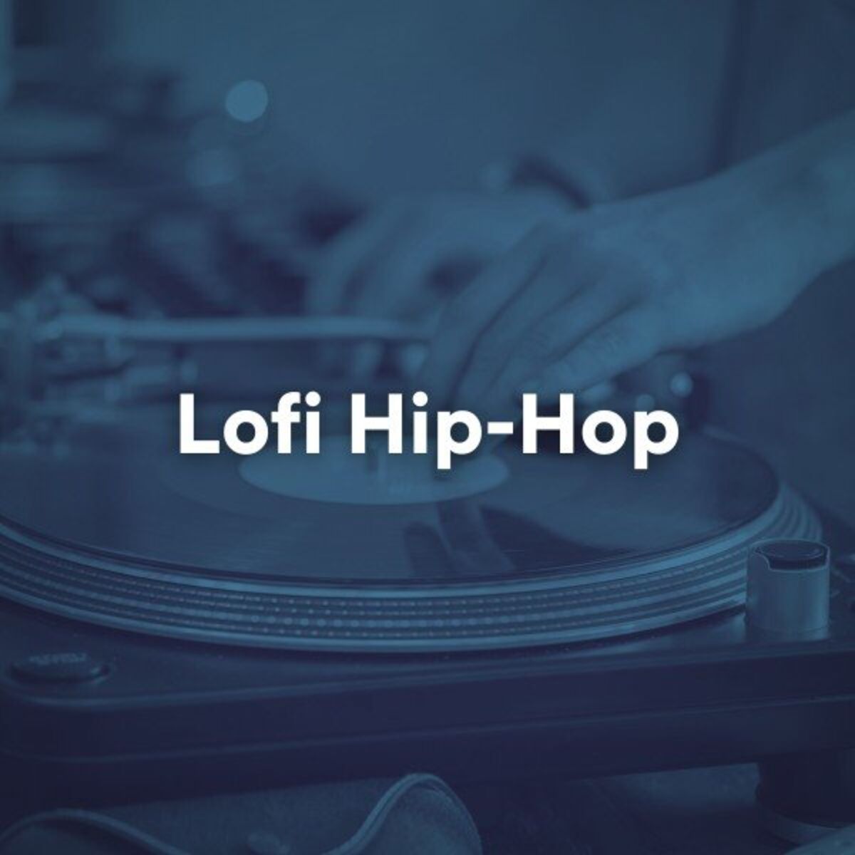 Album cover of Lofi Hip-Hop