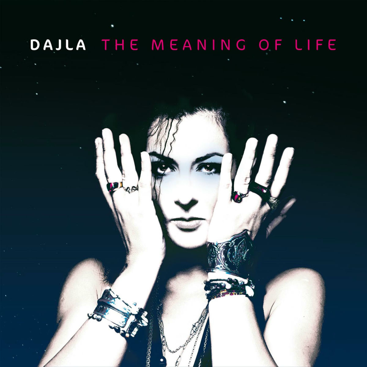 Album cover of The Meaning of Life