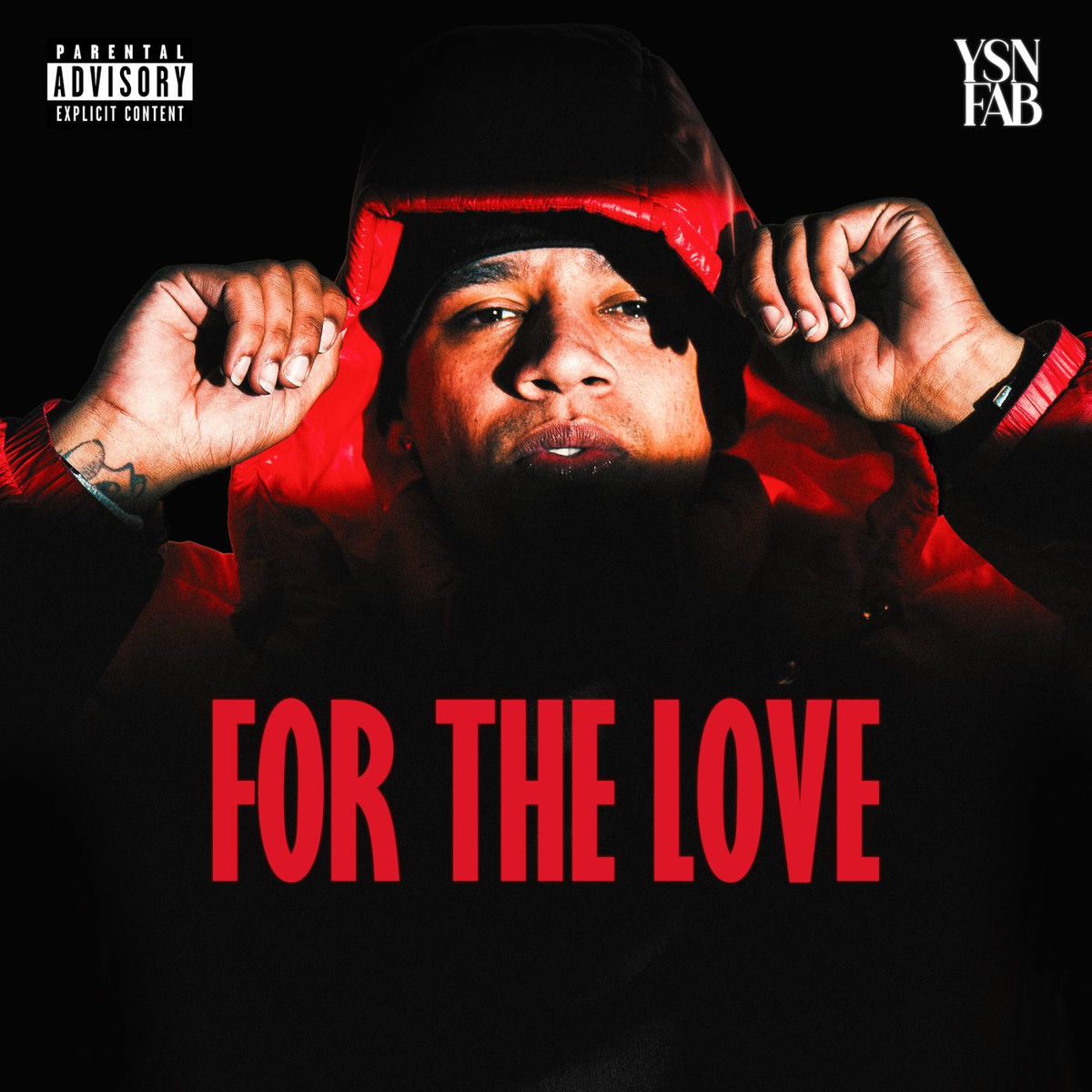 Album cover of For The Love