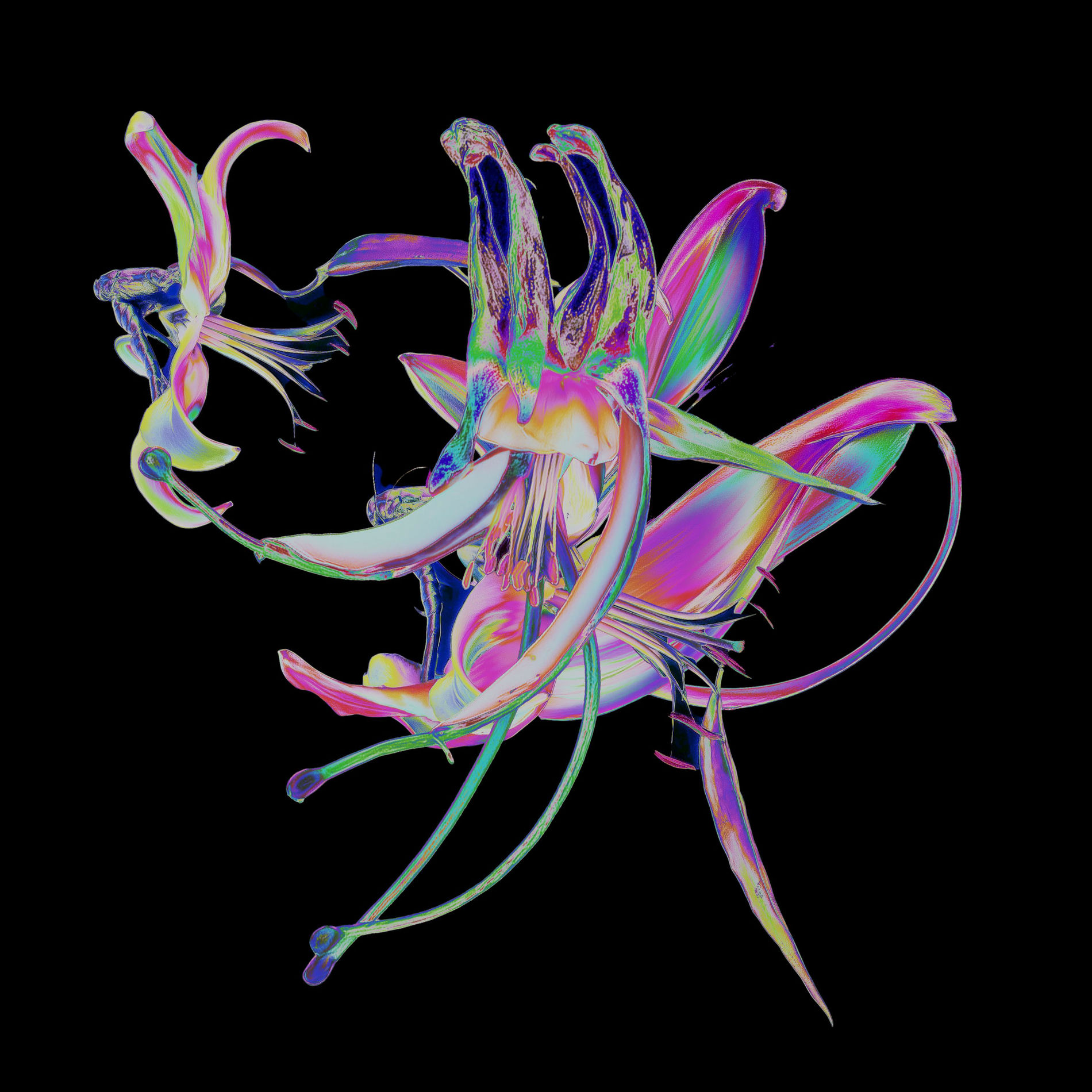 Album cover of Drone