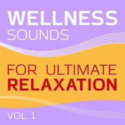 Cover of Wellness (Sounds for Ultimate Relaxation, Vol. 1)