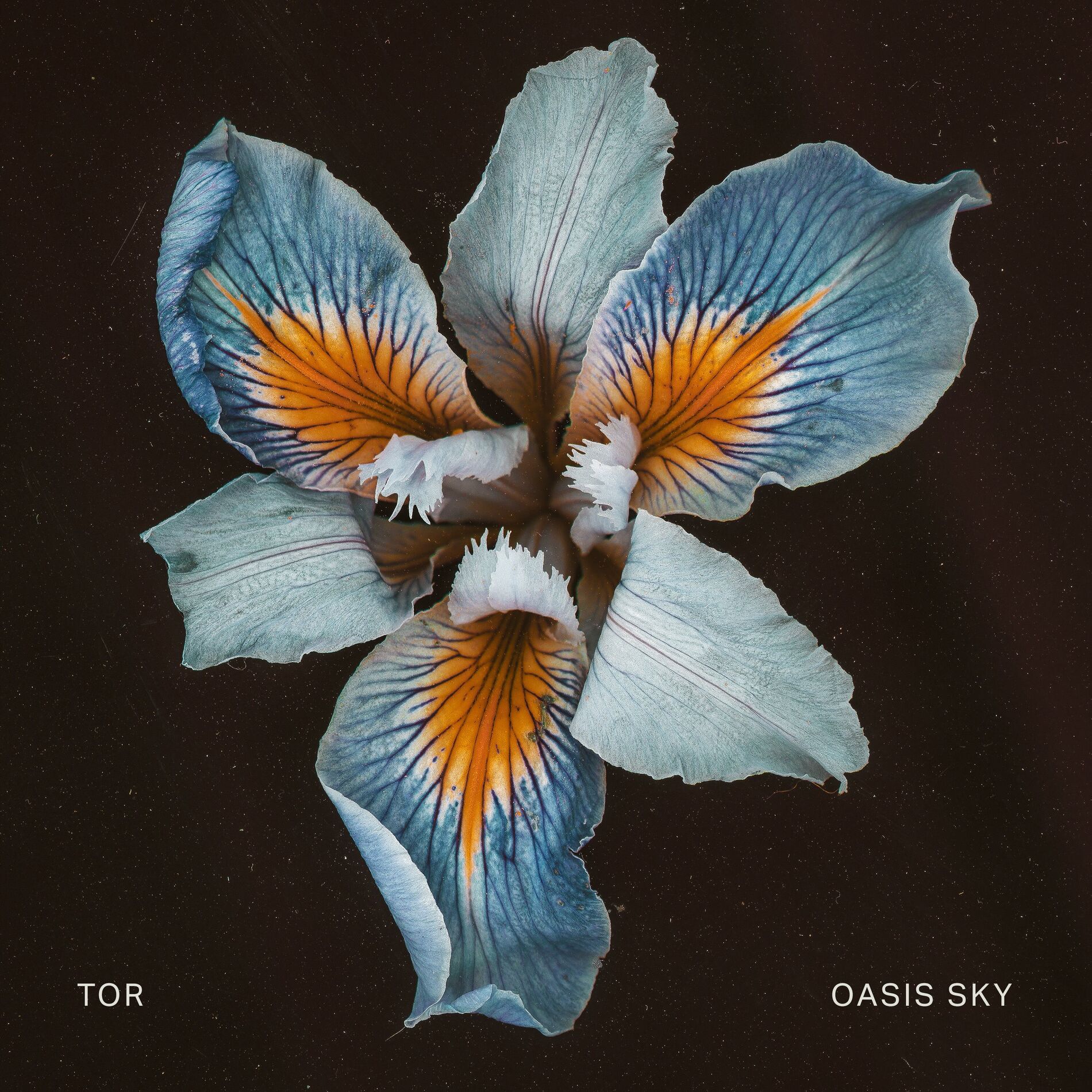 Album cover of Oasis Sky