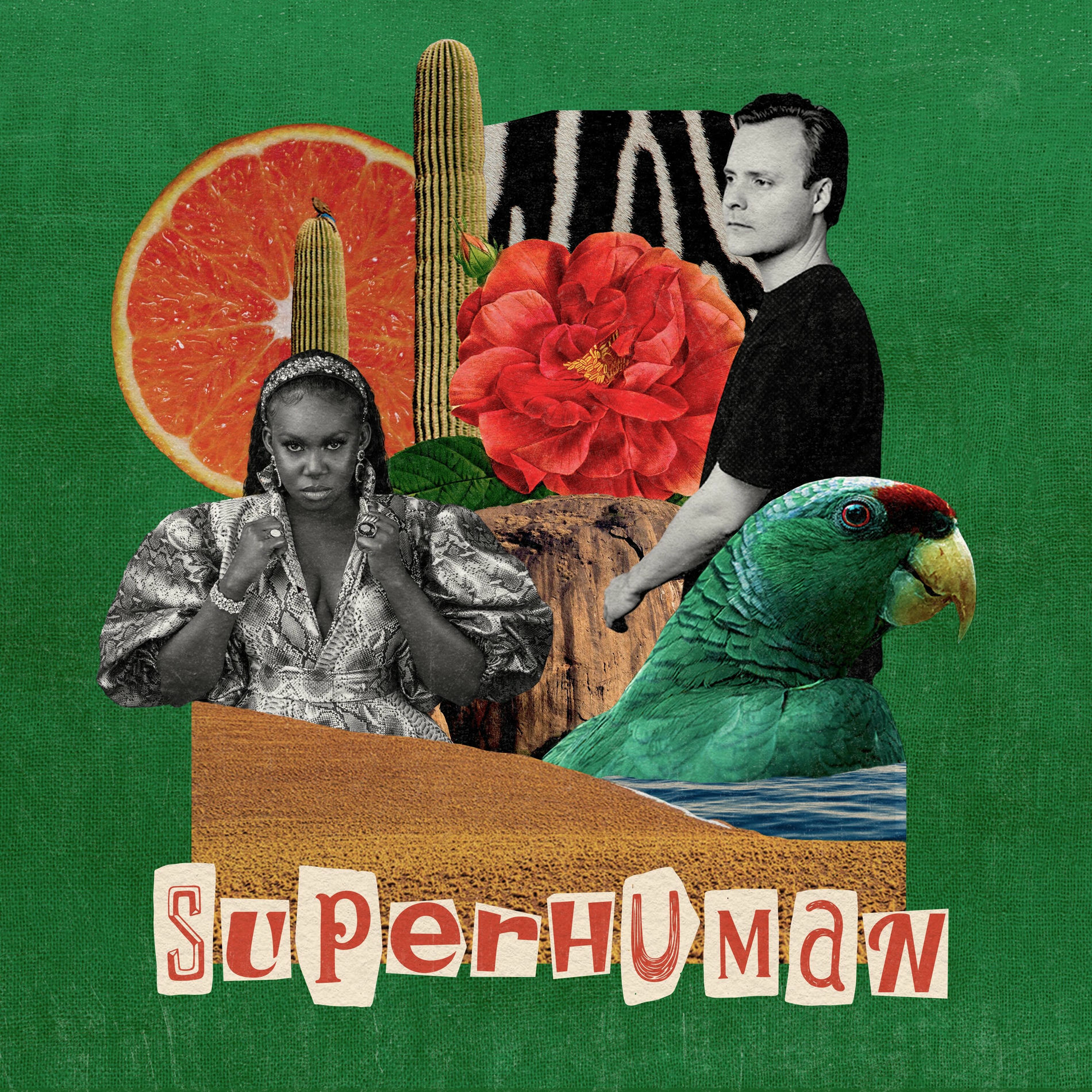 Album cover of Superhuman
