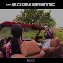 Cover of Mr. Boombastic