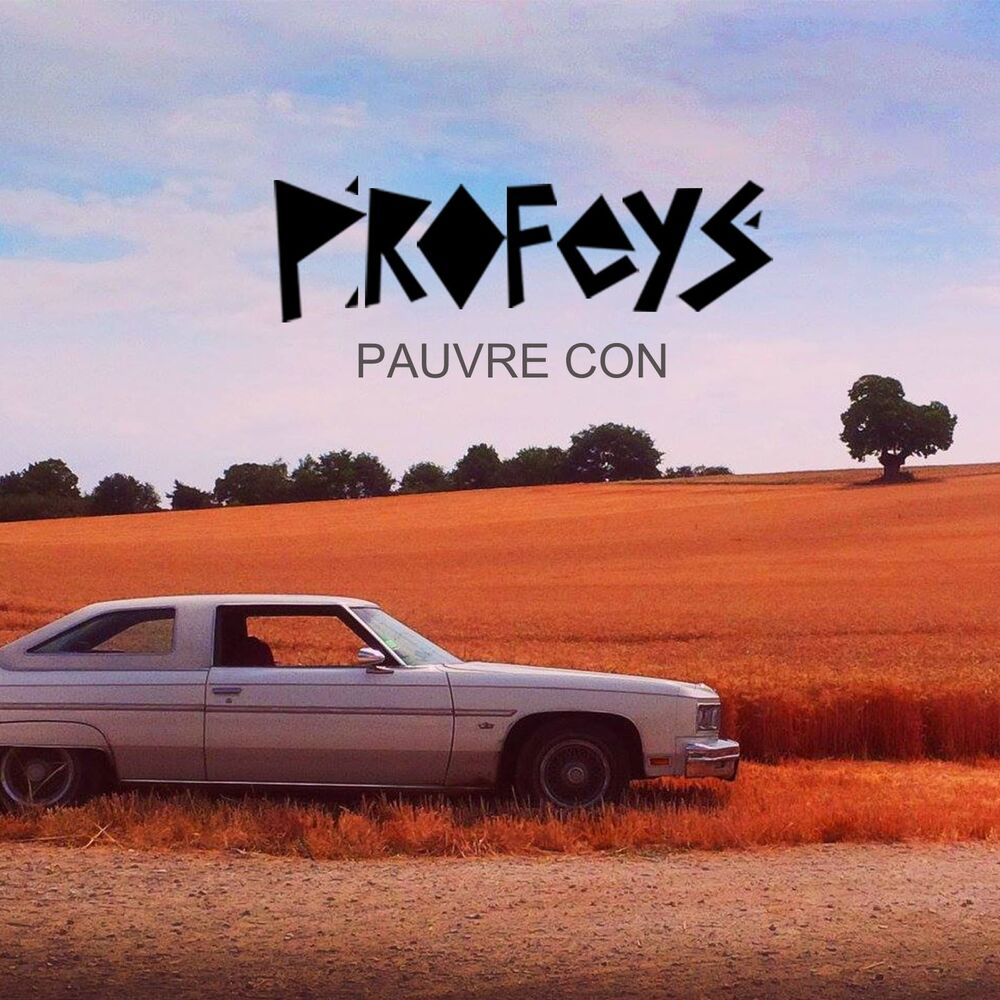 Picture of PAUVRE CON