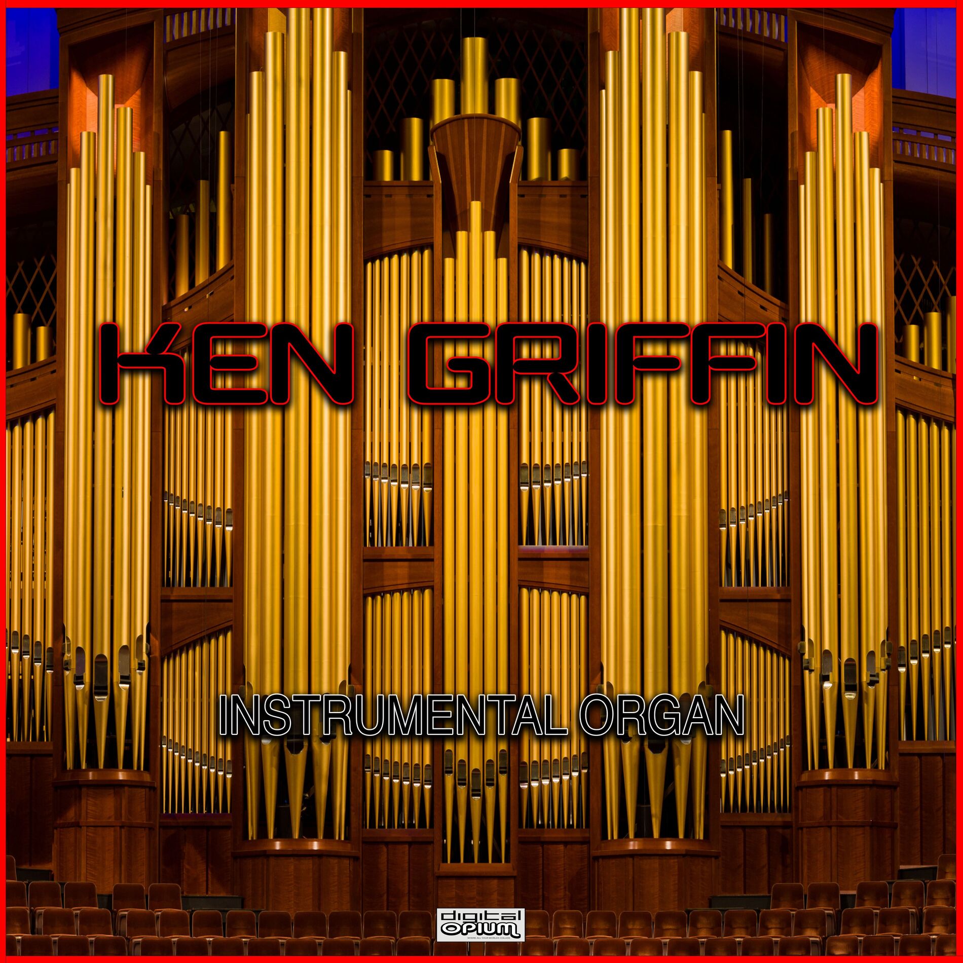 Album cover of Instrumental Organ