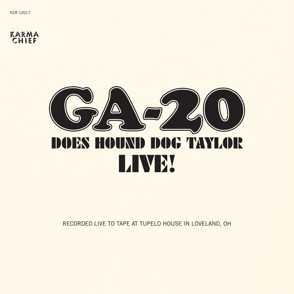 Picture of Does Hound Dog Taylor Live! (Live)